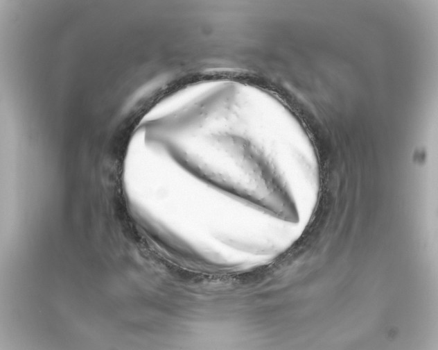 X0000090471351200708102124