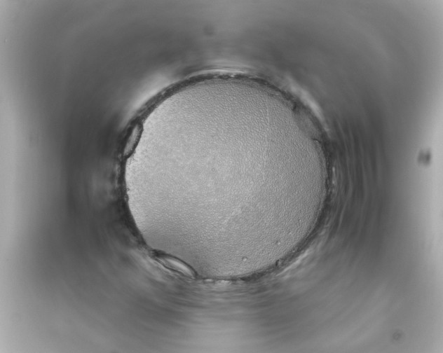 X0000090471352200708102124