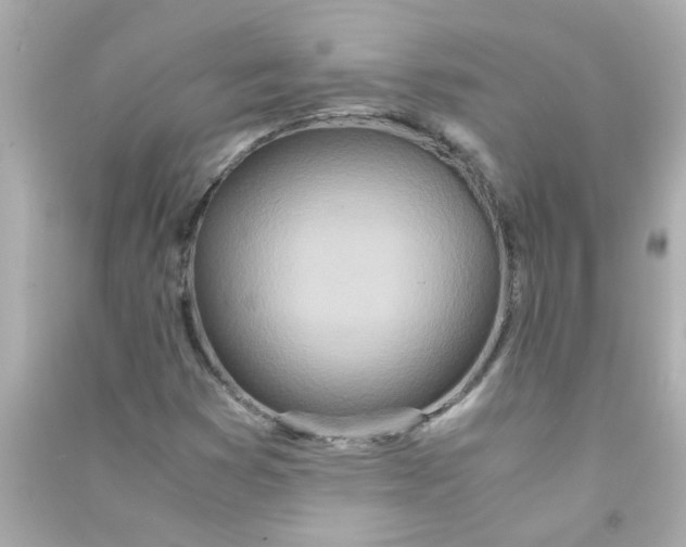 X0000090471353200708102124