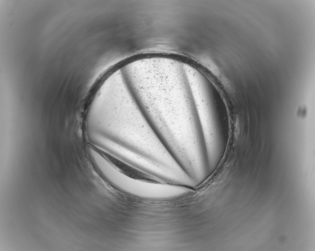 X0000090471356200708102124