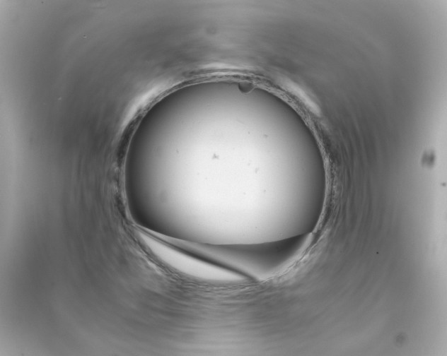 X0000090471357200708102124