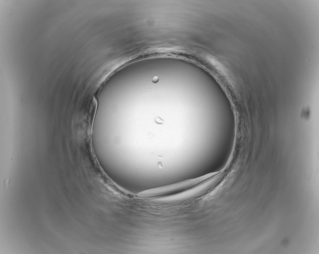 X0000090471361200708102124