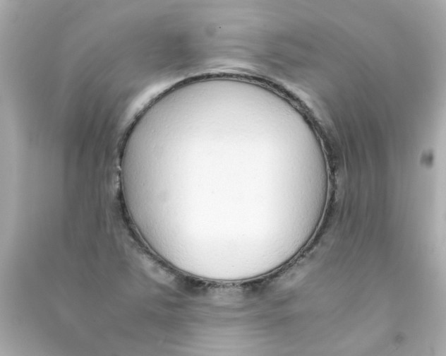 X0000090471363200708102124