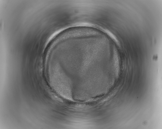 X0000090471364200708102124