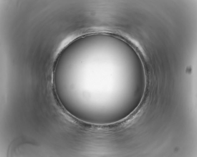 X0000090471365200708102124