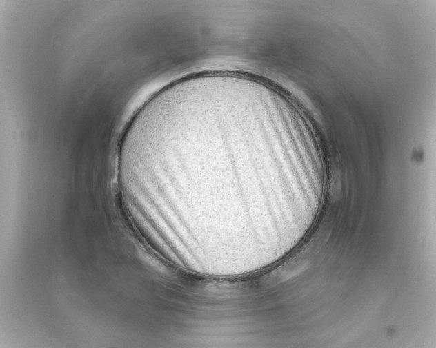 X0000090471366200708102124