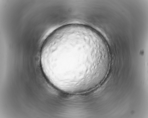 X0000090471367200708102124