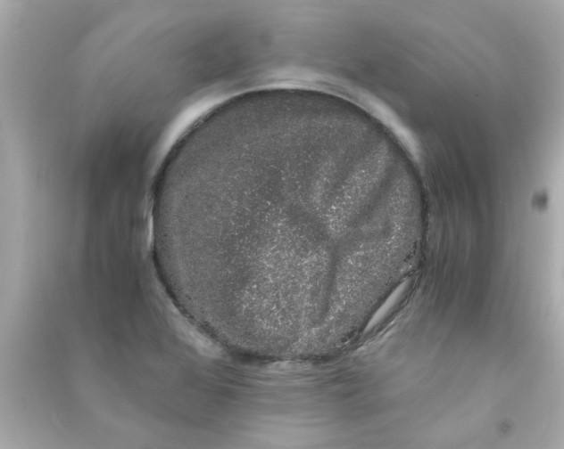 X0000090471368200708102124