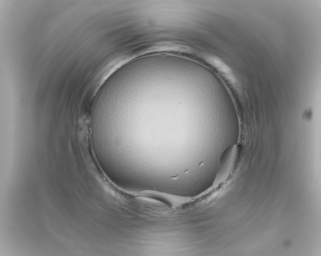 X0000090471369200708102124