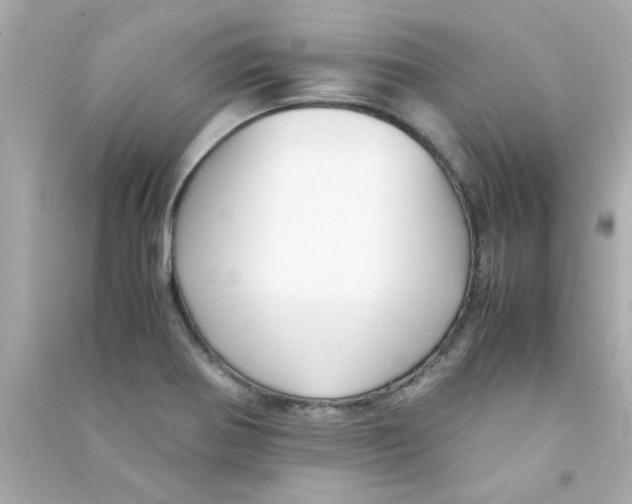 X0000090471370200708102124