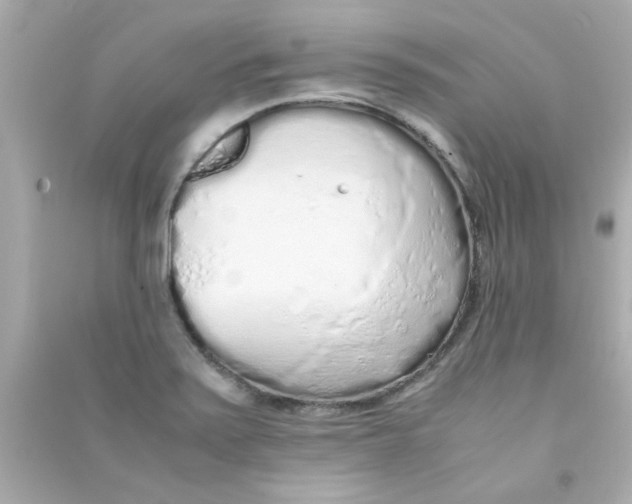 X0000090471371200708102124