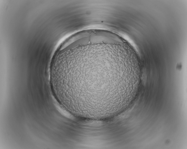 X0000090471372200708102124