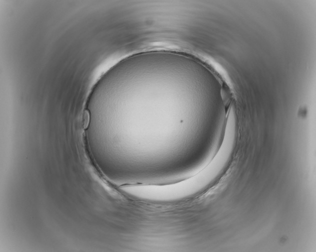 X0000090471373200708102124