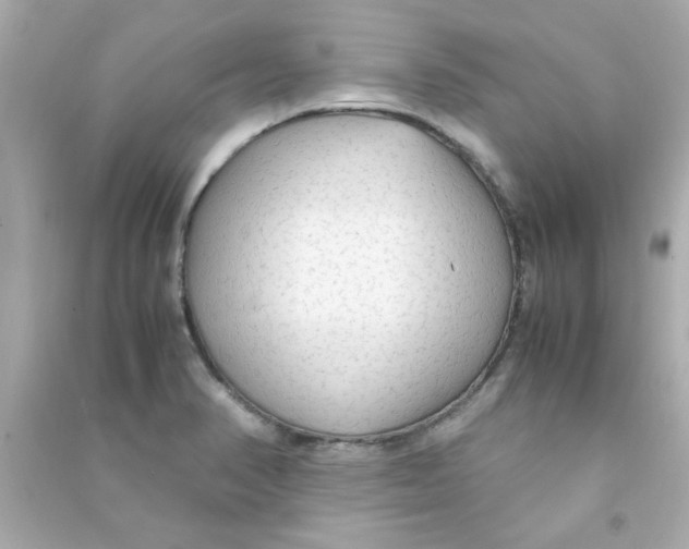 X0000090471374200708102124