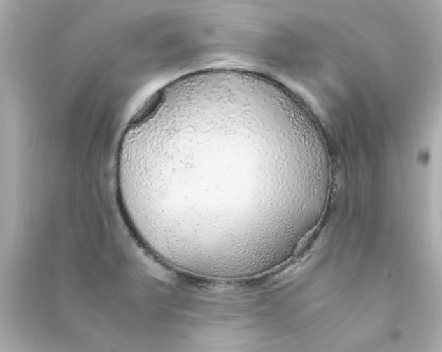 X0000090471375200708102124