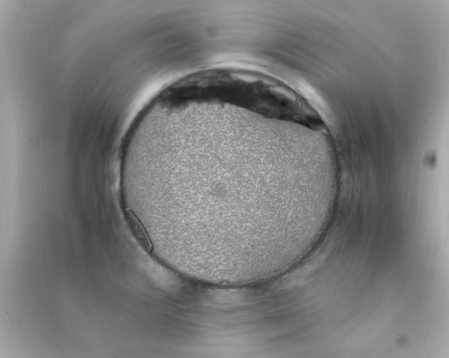 X0000090471376200708102124