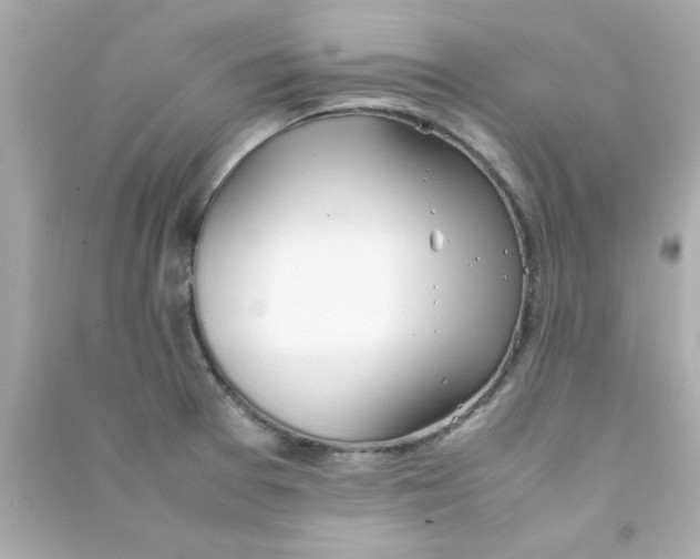 X0000090471377200708102124