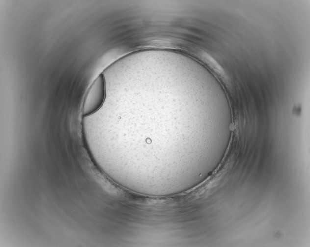 X0000090471378200708102124