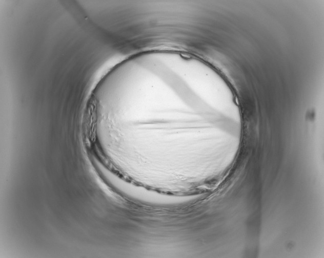 X0000090471379200708102124