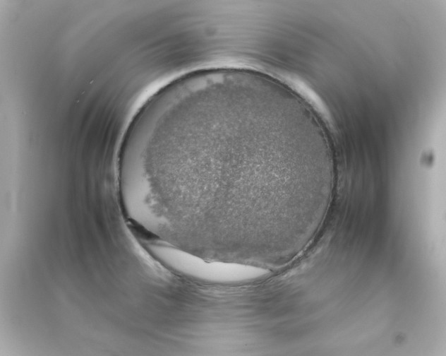 X0000090471380200708102124