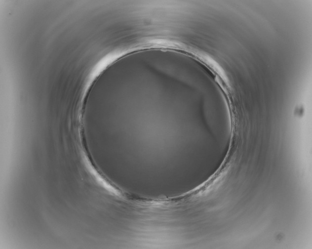 X0000090471381200708102124