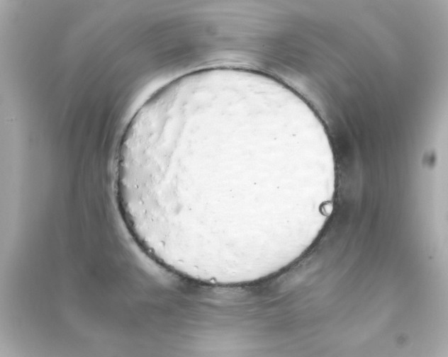 X0000090471383200708102124