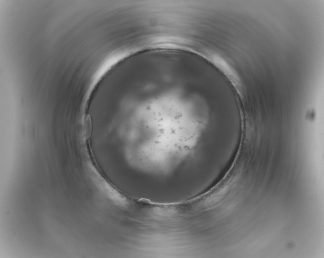 X0000090471384200708102124