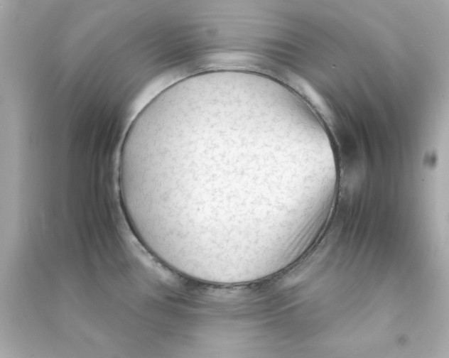 X0000090471386200708102124