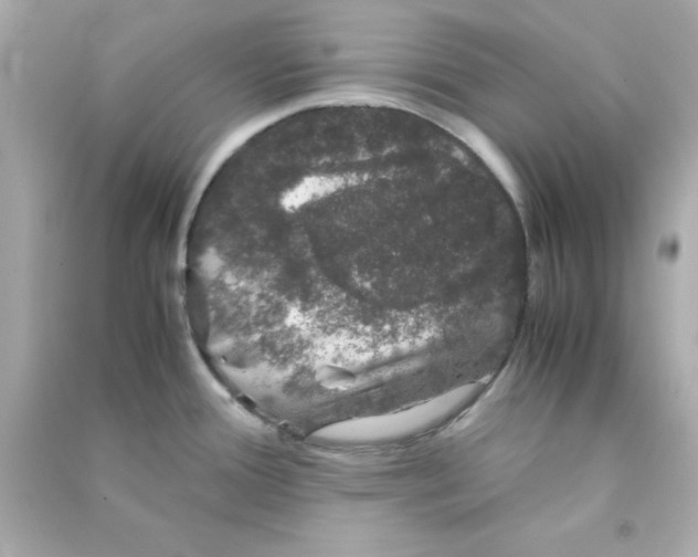 X0000090471388200708102124