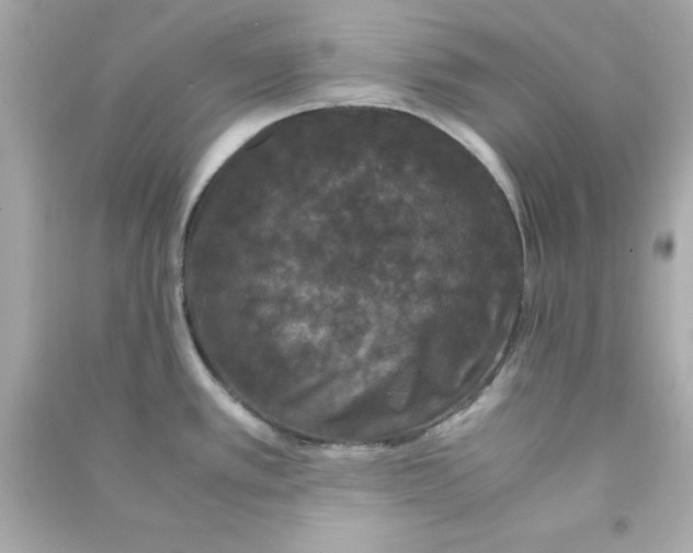 X0000090471389200708102124