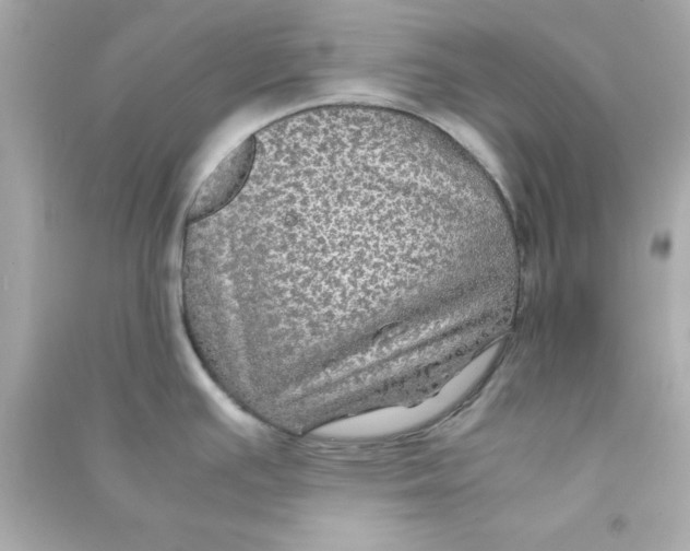 X0000090471391200708102124