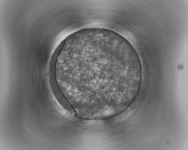 X0000090471392200708102124