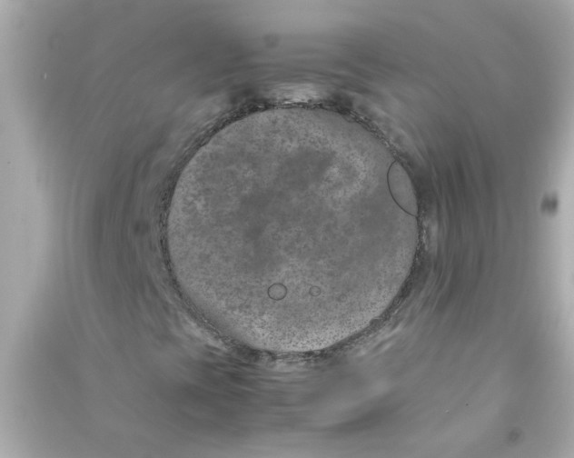 X0000090471393200708102123