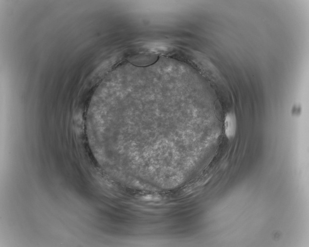 X0000090471395200708102123