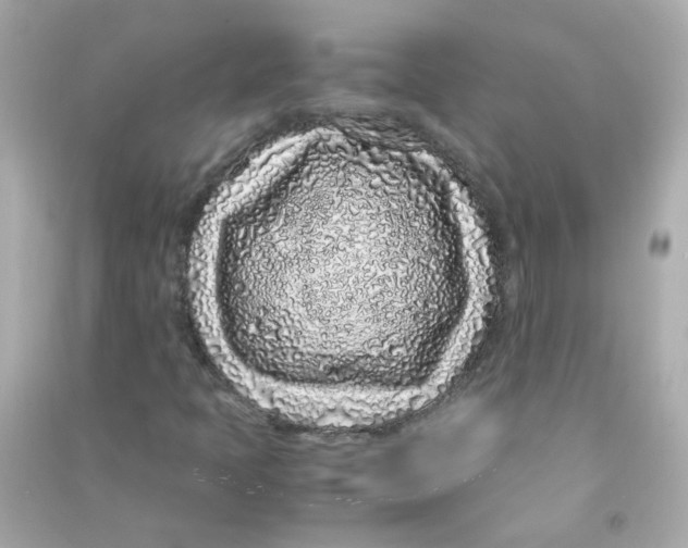 X0000090471397200708102123