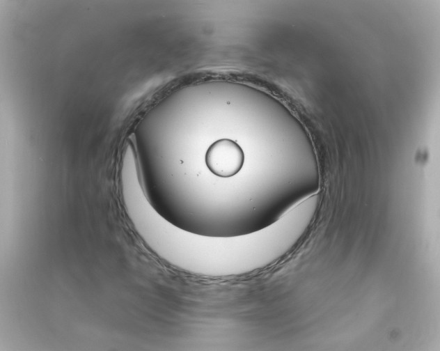 X0000090471398200708102123