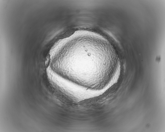 X0000090471399200708102123