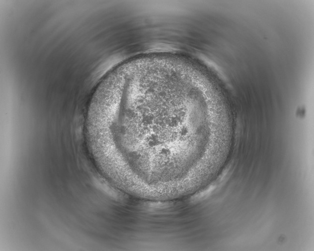 X0000090471401200708102123