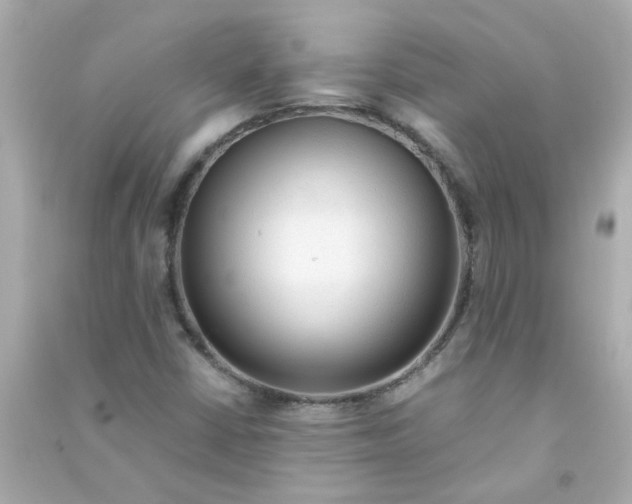 X0000090471402200708102123