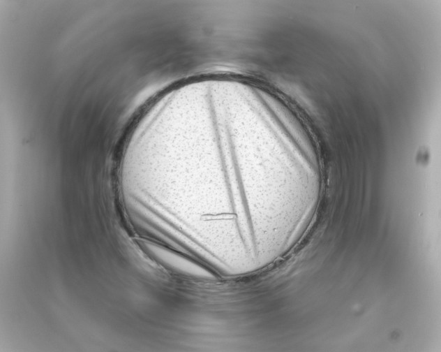 X0000090471404200708102123