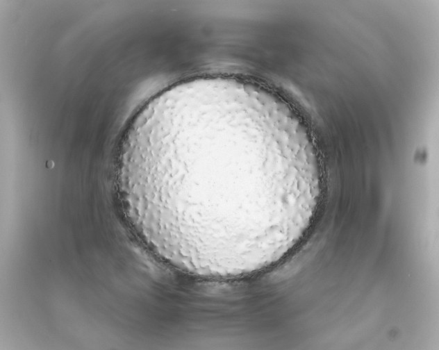 X0000090471405200708102123