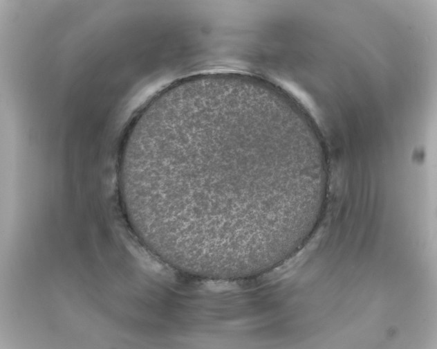 X0000090471407200708102123