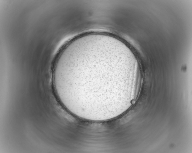 X0000090471408200708102123