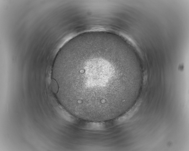 X0000090471409200708102123