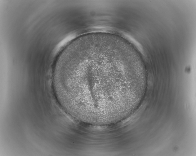 X0000090471411200708102123