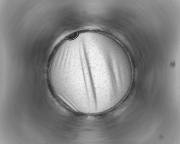 X0000090471412200708102123