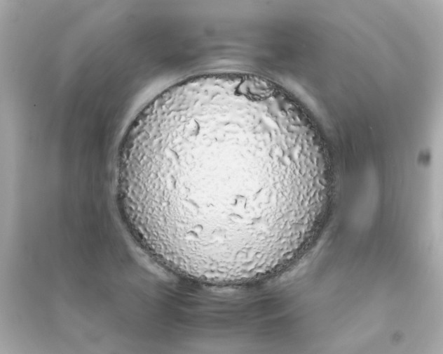 X0000090471413200708102123