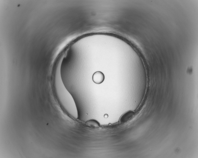 X0000090471414200708102123