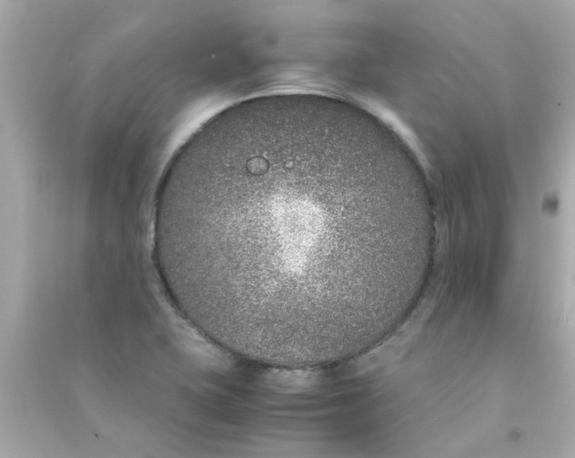 X0000090471415200708102123