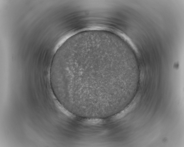 X0000090471417200708102123